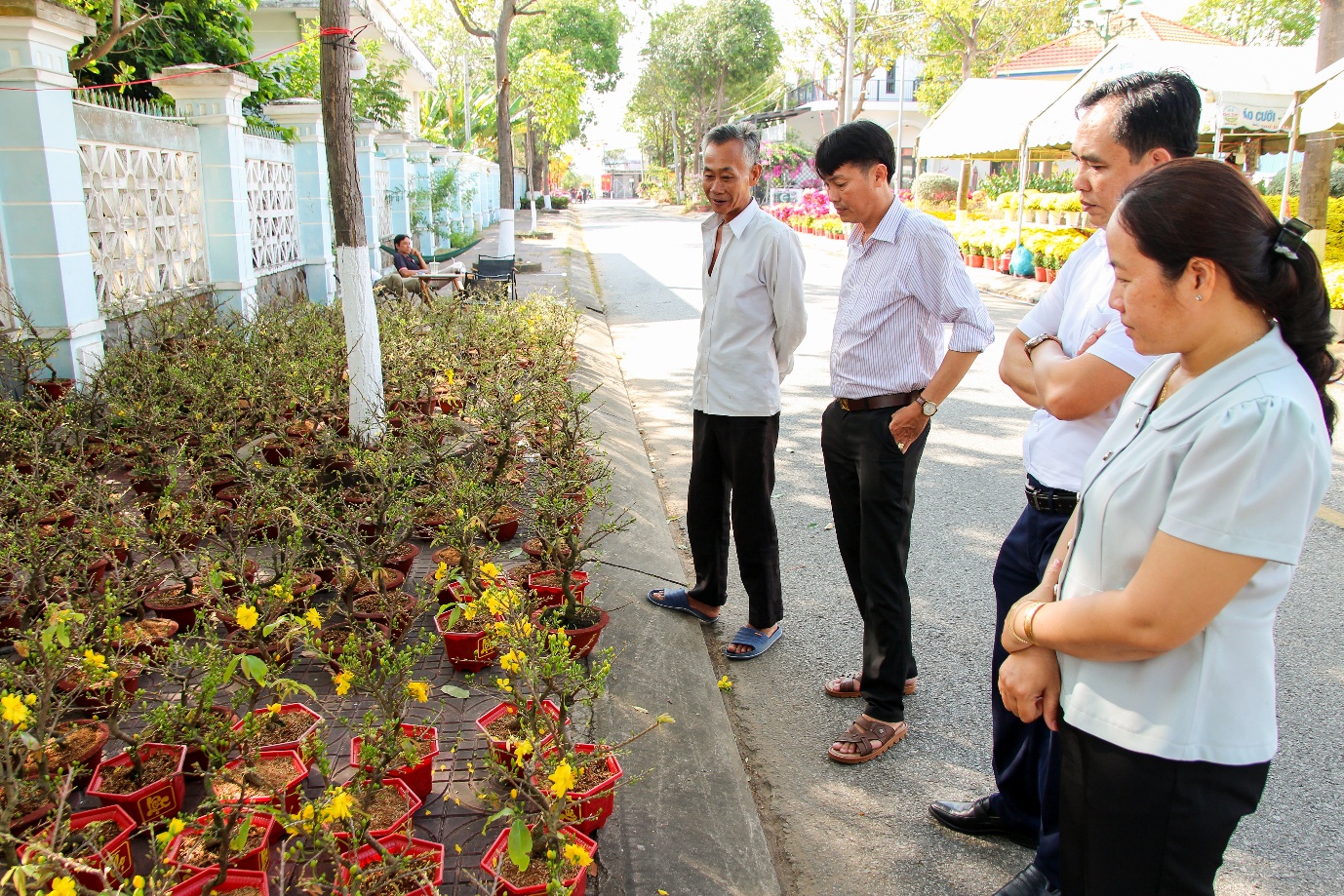 Rộn ràng Chợ hoa xuân Duyên Hải đón Tết Bính Ngọ 2026